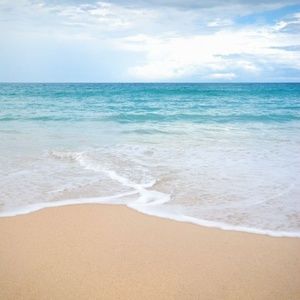 Meet your Posher, Lily